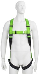 2 Point Safety Harnesses