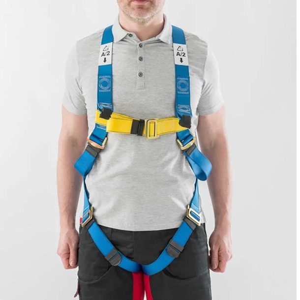 Two Point Universal Harness