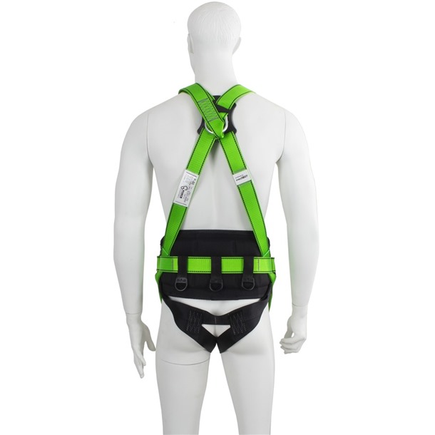 3 Point Full Body Harness | G-Force