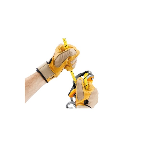 PETZL RIG | Descender