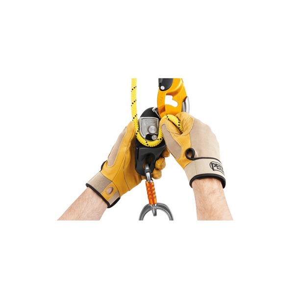 PETZL RIG | Descender