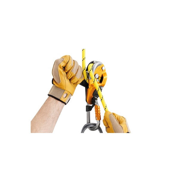 PETZL RIG | Descender