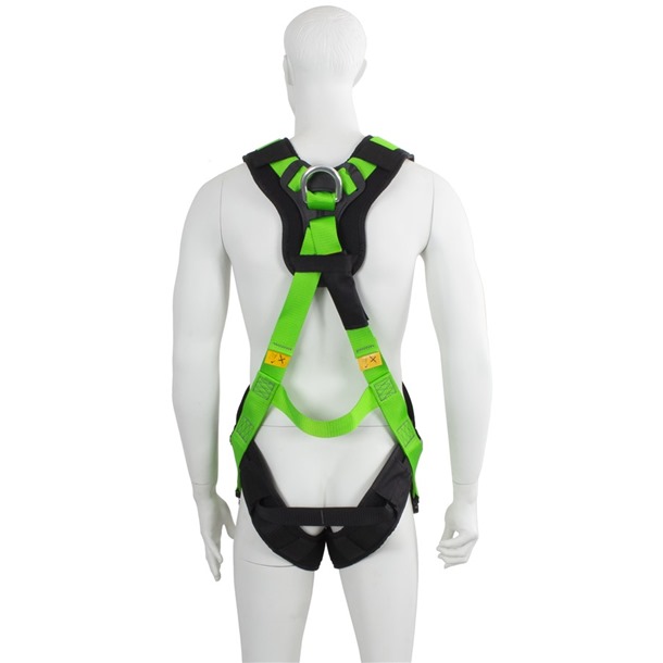 2 Point Full Body Harness | Rear & Chest Attachment Points