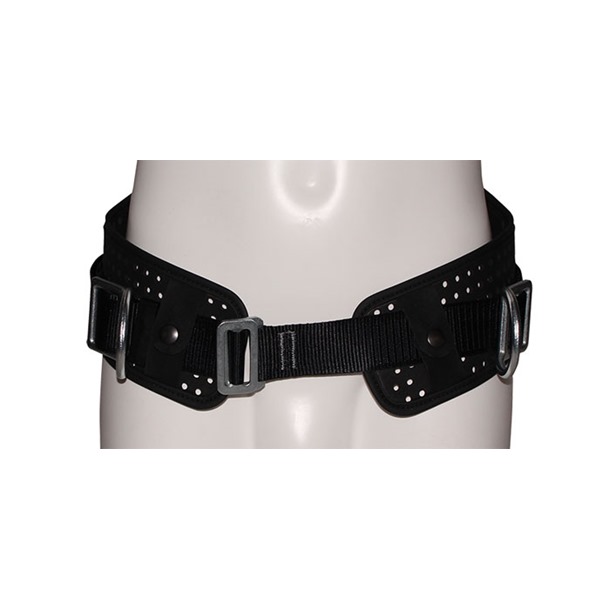 Twin D Restraint Belt