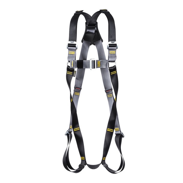 Rear D Safety Harness