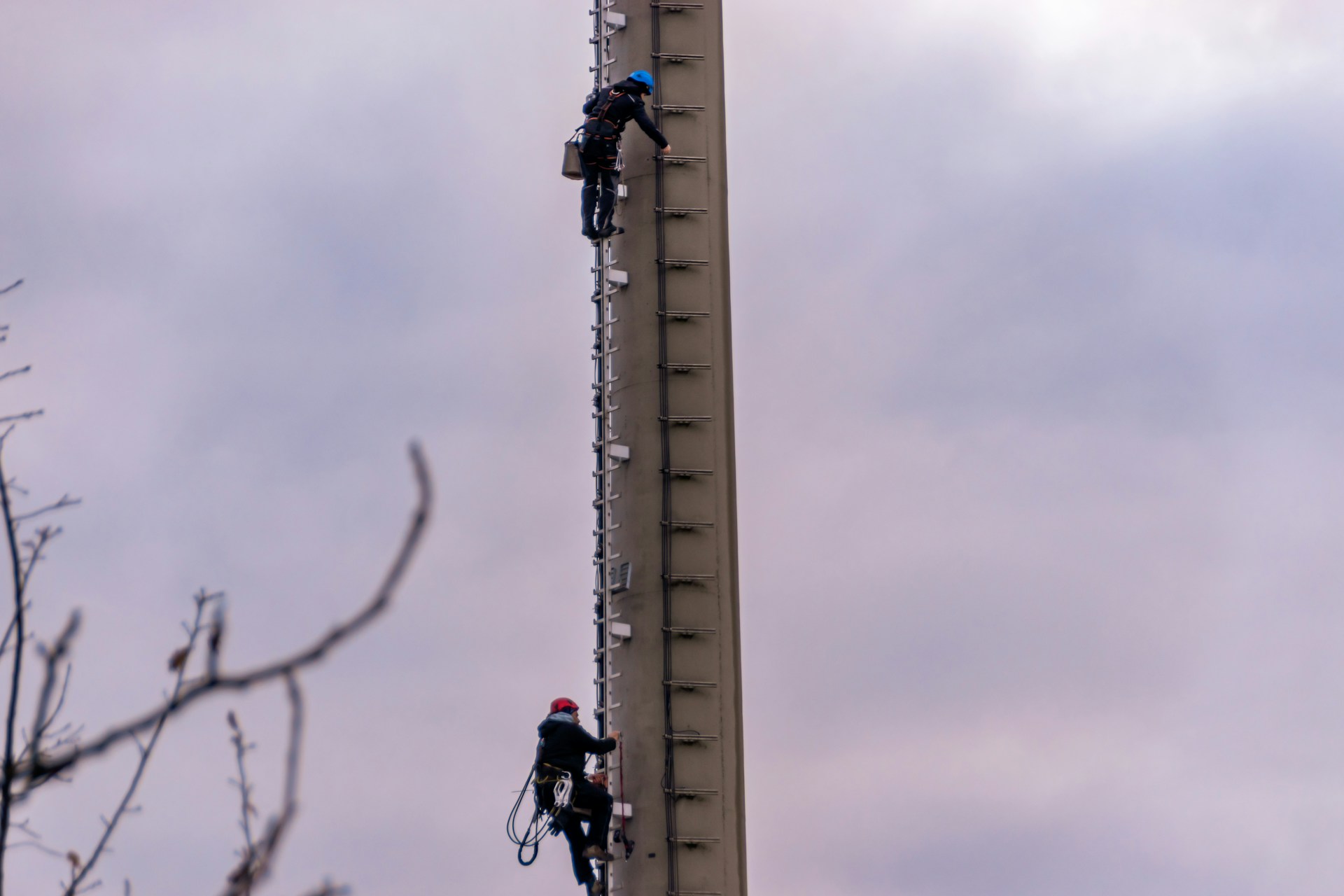 safety harness standards